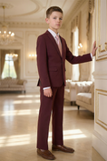 Bild in Galerie-Betrachter laden, Boys Burgundy 2-Piece Suit for Formal Events