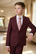Load image into Gallery viewer, Boys Burgundy 2-Piece Suit for Formal Events