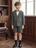 Bild in Galerie-Betrachter laden, Boys Gray Herringbone Single-breasted 2-piece Suit