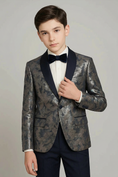 Cargar la imagen en la vista de la galería, Boys Silver Metallic 2-Piece Suit for Formal Galas & Luxury Weddings