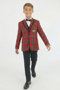 Bild in Galerie-Betrachter laden, Boys Red Plaid 2-Piece Suit with Bee Detail for Festive Weddings & Events
