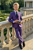 Load image into Gallery viewer, Boys Deep Purple Plaid 2-Piece Suit for Garden Weddings & Outdoor