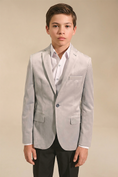 Bild in Galerie-Betrachter laden, Boys Light Grey Notch Lapel Velvet Jacket