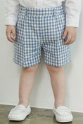 Load image into Gallery viewer, Boys Light Blue Plaid Double-breasted 2-piece Suit