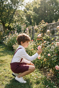 Load image into Gallery viewer, Boys Burgundy Dress Shorts