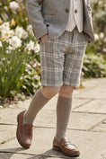 Bild in Galerie-Betrachter laden, Boys Gray Plaid Shorts