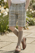 Bild in Galerie-Betrachter laden, Boys Gray Plaid Shorts
