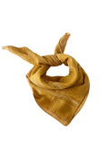 Bild in Galerie-Betrachter laden, Boys Yellow Plaid Handkerchief