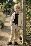 Load image into Gallery viewer, Boys Beige Linen-blend Single-breasted 2-piece Suits