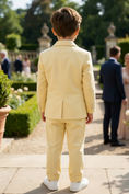 Bild in Galerie-Betrachter laden, Boys Butter Yellow Double-Breasted 2-Piece Suit