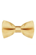 Bild in Galerie-Betrachter laden, Boys Gold Satin Bow Tie