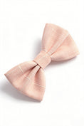 Cargar la imagen en la vista de la galería, Boys Blush Pink Checkered Bow Tie