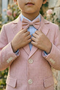 Cargar la imagen en la vista de la galería, Boys Blush Pink Checkered Bow Tie