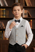 Load image into Gallery viewer, Grey V-neck Striped Vest