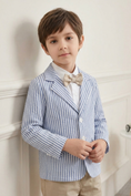 Bild in Galerie-Betrachter laden, Light Blue Striped Single-Breasted Suit Jacket