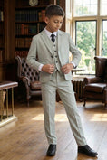 Cargar la imagen en la vista de la galería, Boys Light Grey Textured 3-Piece Suit