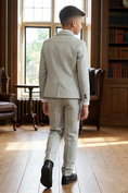 Cargar la imagen en la vista de la galería, Boys Light Grey Textured 3-Piece Suit