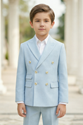 Load image into Gallery viewer, Boys Sky Blue Herringbone Double-Breasted 2-piece Suit