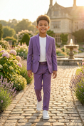 Load image into Gallery viewer, Purple Single-Breasted 2-Piece Suit