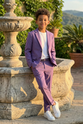 Load image into Gallery viewer, Purple Single-Breasted 2-Piece Suit