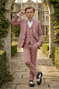 Cargar la imagen en la vista de la galería, Gray-Pink Plaid Single-Breasted 3-Piece Suit