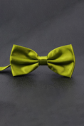 Load image into Gallery viewer, Satin Double Layer Simple and Exquisite Boys' Bow Tie