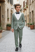 Load image into Gallery viewer, Light Green and White Serif Single-Breasted 2-Piece Suit