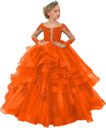 Load image into Gallery viewer, Long Sleeve Flower Girl Dresses Lace Applique Princess Ruffles Tulle Party Gown