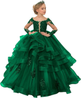 Load image into Gallery viewer, Long Sleeve Flower Girl Dresses Lace Applique Princess Ruffles Tulle Party Gown