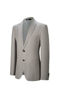 Load image into Gallery viewer, Designer Style Men's Two Button Stripe Blazer