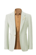 Load image into Gallery viewer, Classical Retro Herringbone 2 Pieces Mens Suits With Pockets 2783