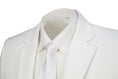 Load image into Gallery viewer, Ivory Men's Two Button Blazer for Party, Wedding and Business