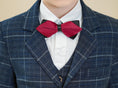 Load image into Gallery viewer, Navy Plaid Elegant 5 Piece Boys Suits