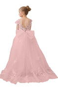 Load image into Gallery viewer, Flower Girl Dresses Applique Tulle Pageant Princess Gown