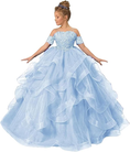 Load image into Gallery viewer, Tulle Flower Girl Dresses for Wedding Lace Applique Princess