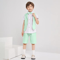Load image into Gallery viewer, Summer Boys Suit 4Pcs Shirt Vest Shorts Tie Set