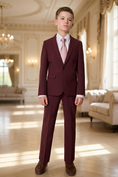 Bild in Galerie-Betrachter laden, Boys Burgundy 2-Piece Suit for Formal Events
