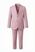 Cargar la imagen en la vista de la galería, Boys Blush Pink Notch Lapel 2-Piece Suit for Formal Events
