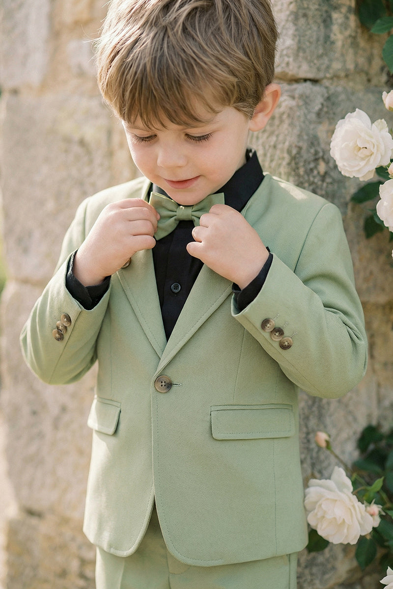 Boys Sage Green Single-Breasted 2-Piece Suit