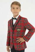 Load image into Gallery viewer, Boys Red Plaid 2-Piece Suit with Bee Detail for Festive Weddings & Events
