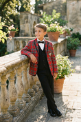Load image into Gallery viewer, Boys Red Plaid 2-Piece Suit with Bee Detail for Festive Weddings & Events
