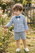 Load image into Gallery viewer, Boys Light Blue Plaid Double-breasted 2-piece Suit
