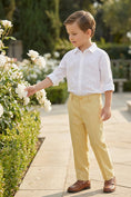 Load image into Gallery viewer, Boys Lemon Yellow Straight Fit Trousers
