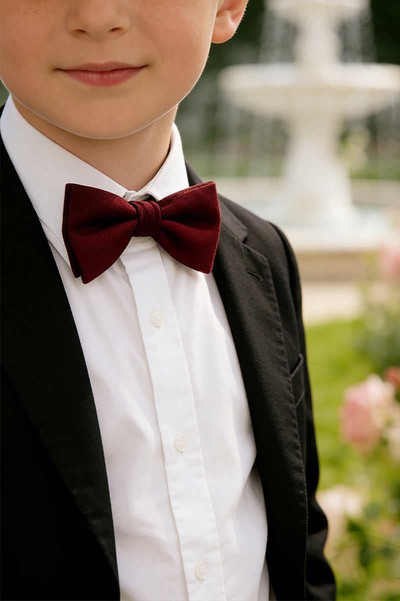 Boys Burgundy Bow Tie