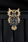Load image into Gallery viewer, Boys Owl Brooch

