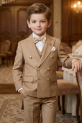 Load image into Gallery viewer, Boys' Vintage Luxury And Exquisite Button-Up Two-Piece Suit
