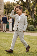 Boys Light Grey Check Single-breasted 2-piece Suits