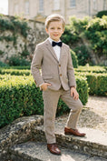 Load image into Gallery viewer, Boys Brown And White Houndstooth Single-breasted 2-piece Suits
