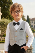 Load image into Gallery viewer, Grey V-neck Striped Vest
