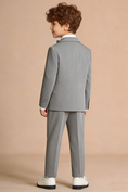 Load image into Gallery viewer, Boys Light Grey 2-Piece Suit for Weddings

